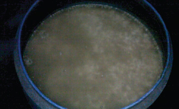 STEP 2