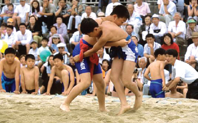 씨름