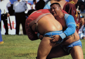 씨름
